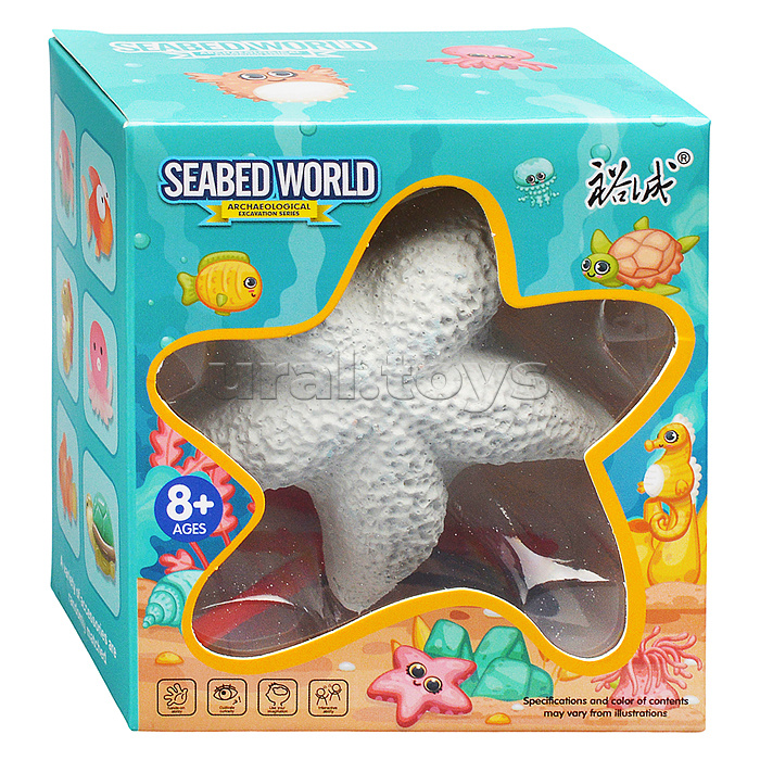 Раскопки "Морская звезда" в коробке