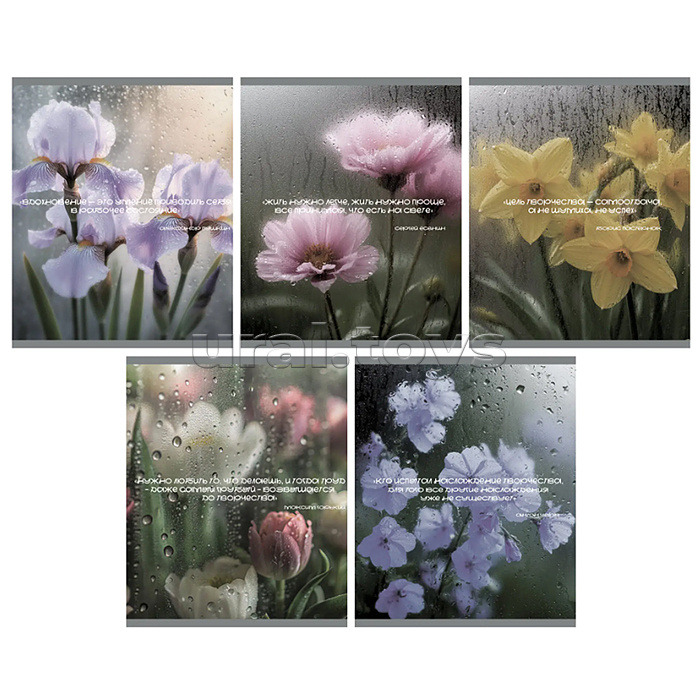 Тетрадь 48л. клетка "После дождя" А5 скрепка