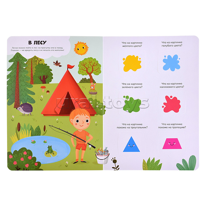 Знания в окошках. Формы и цвета