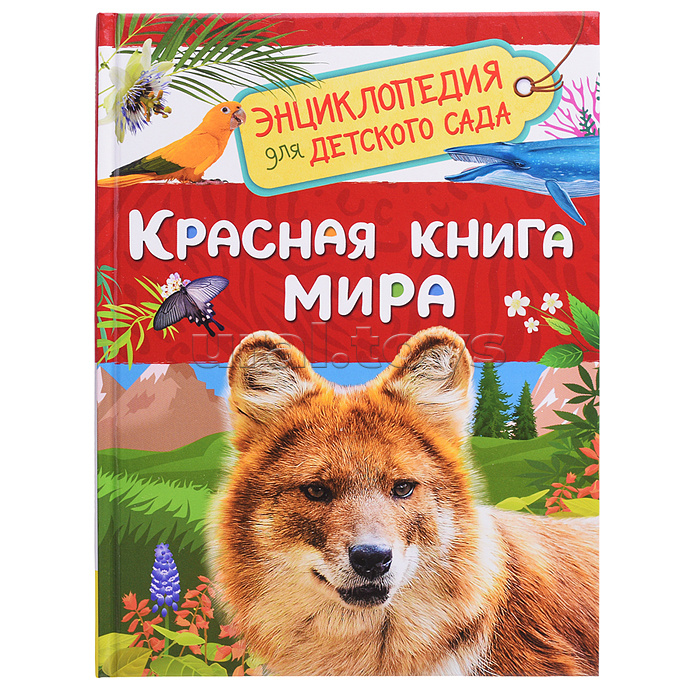 Красная книга мира (Энциклопедия для детского сада)