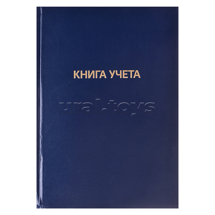Книга учета A4 96 л в клетку, офсет 60 г/м², 92% белизна, твердая обложка из бумвинила, тиснение фольгой Книга учета A4 96 л в клетку, офсет 60 г/м², 92% белизна, твердая обложка из бумвинила, тиснение фольгой