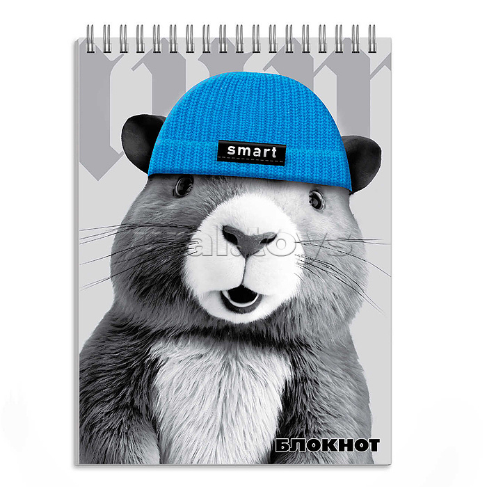 Блокнот А6 96л. "Капибара в шапочке"  клетка