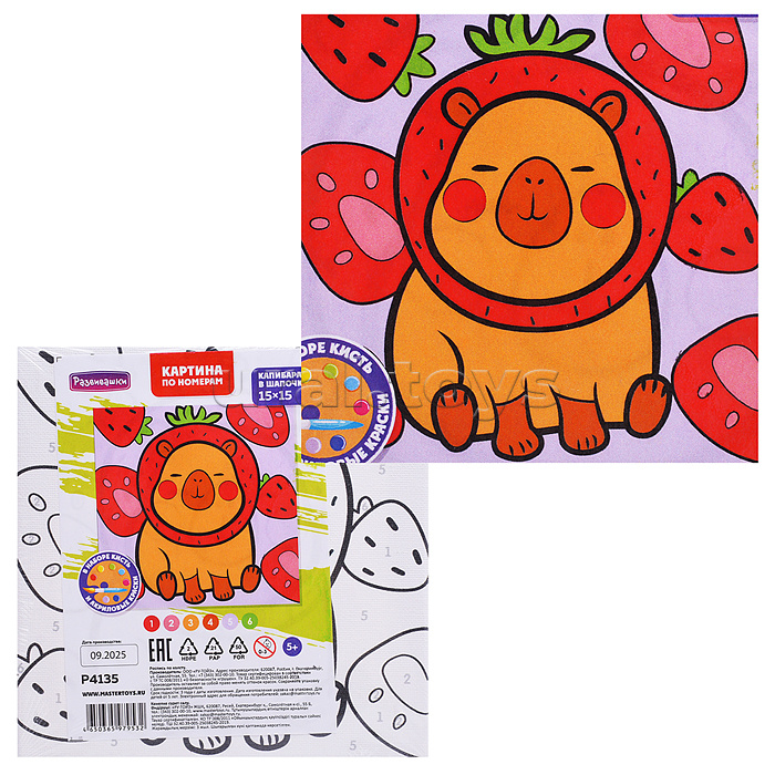 Картина по номерам "Капибара в шапочке" 15х15см