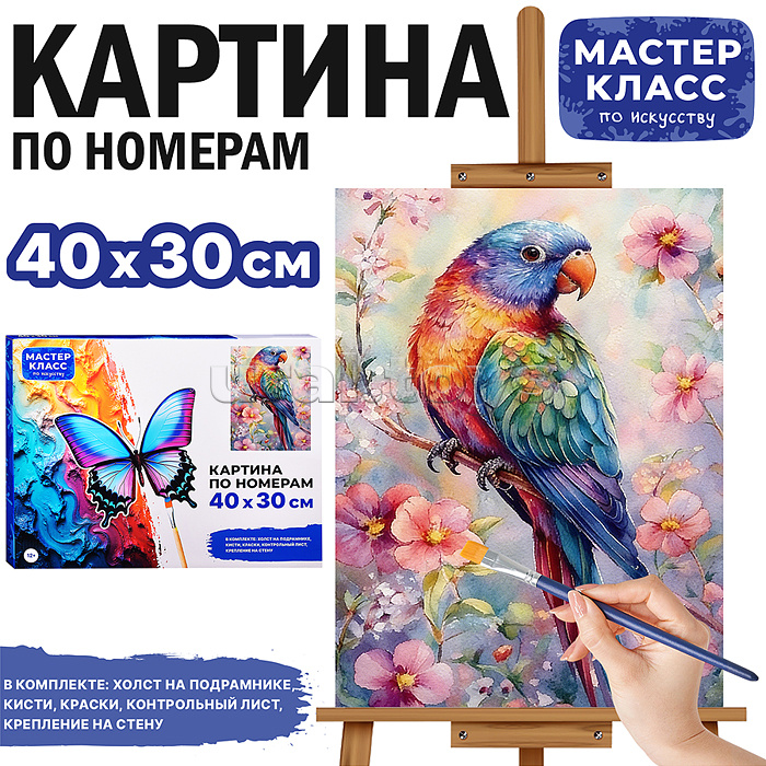 Картина по номерам MKR4030-140 "Попугайчик" 40х30 см.