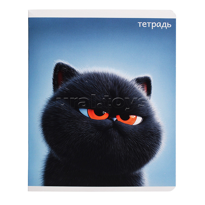 Тетрадь 48 л, клетка "Котяры" А5+, мягкий переплёт (2 скобы)
