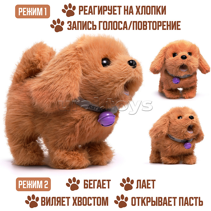 Собака "Ричи" ( бегает, записывает, лает, виляет хвостом, открывает пасть) в пакете Собака "Ричи" ( бегает, записывает, лает, виляет хвостом, открывает пасть) в пакете