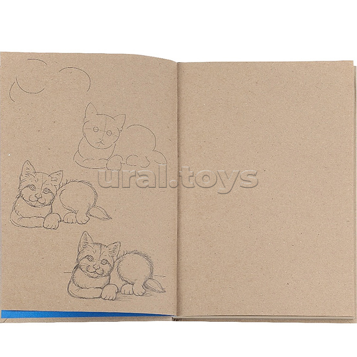 Скетчбук 80л. с пошаговыми эскизами "Кошачий" 7БЦ, бл-краф бумага, крафт,