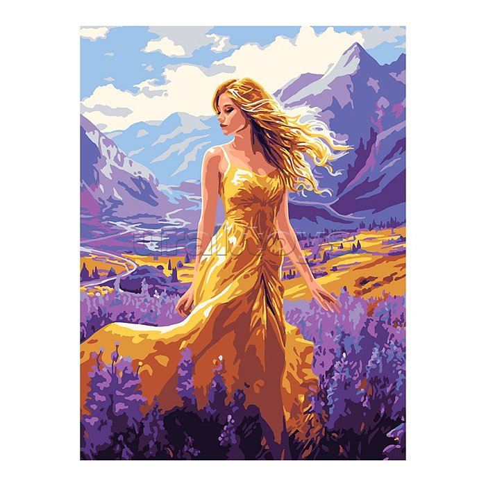 Картина по номерам на картоне 28,5*38 см "Золотое платье"