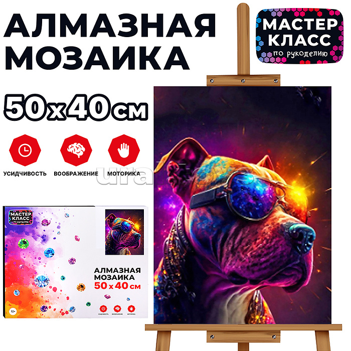 Мозаика алмазная "Собака в очках" 40*50см.