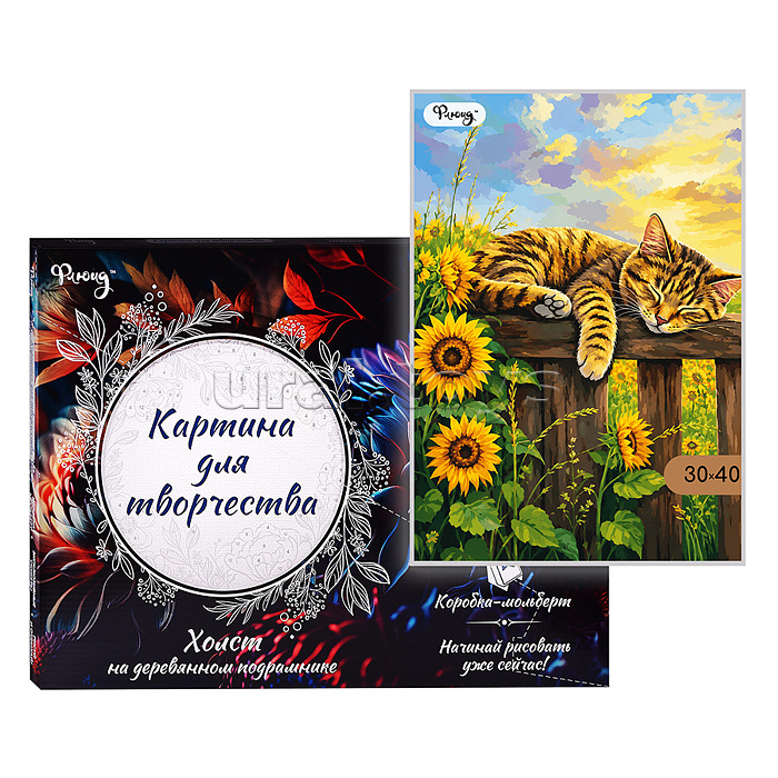 Картина по номерам 30х40 "Кот на отдыхе" (24 цвета)