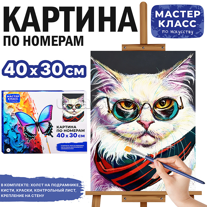 Картина по номерам MKR4030-153 "Важный кот" 40х30 см.