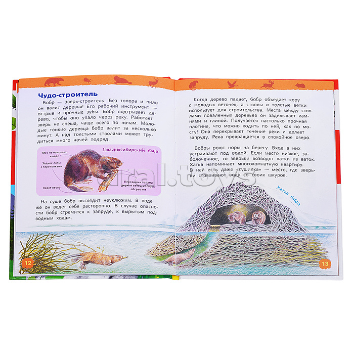 Красная книга России (Энциклопедия для детского сада) Красная книга России (Энциклопедия для детского сада)