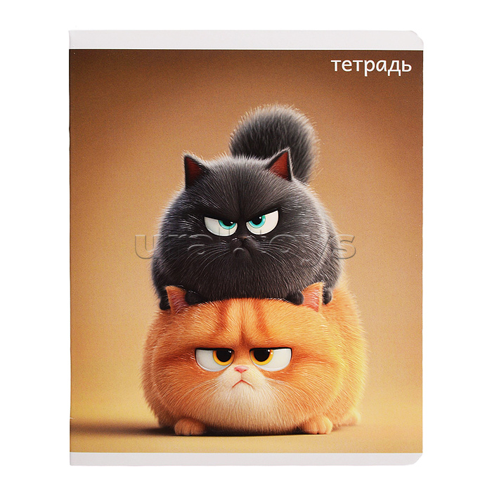 Тетрадь 48 л, клетка "Котяры" А5+, мягкий переплёт (2 скобы)