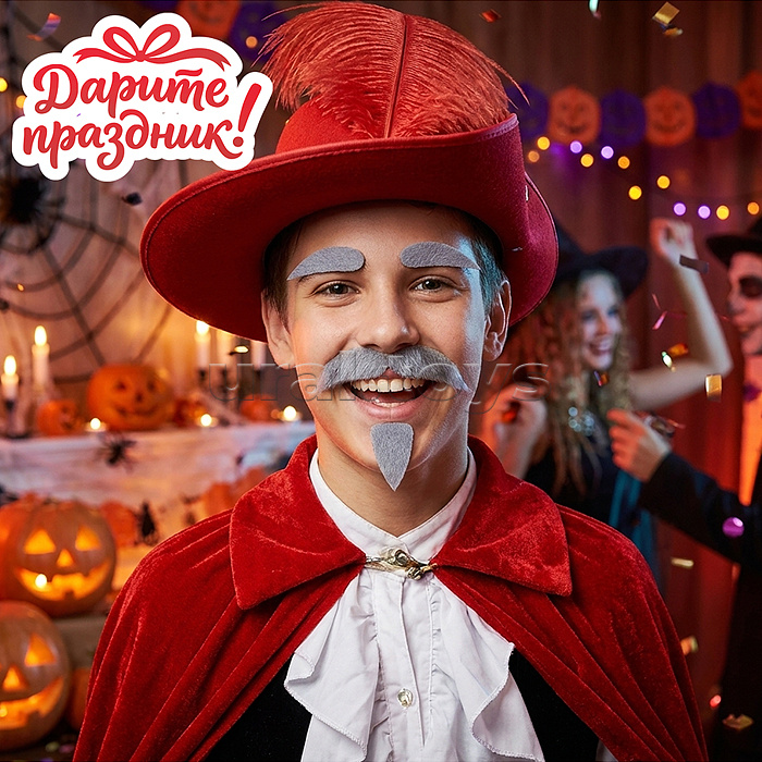 Карнавальный набор "Усы, бородка и брови" цвет серый
