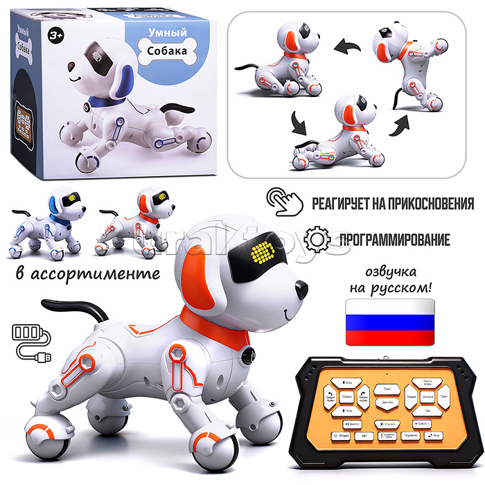 Собака "КиберЛап" в коробке