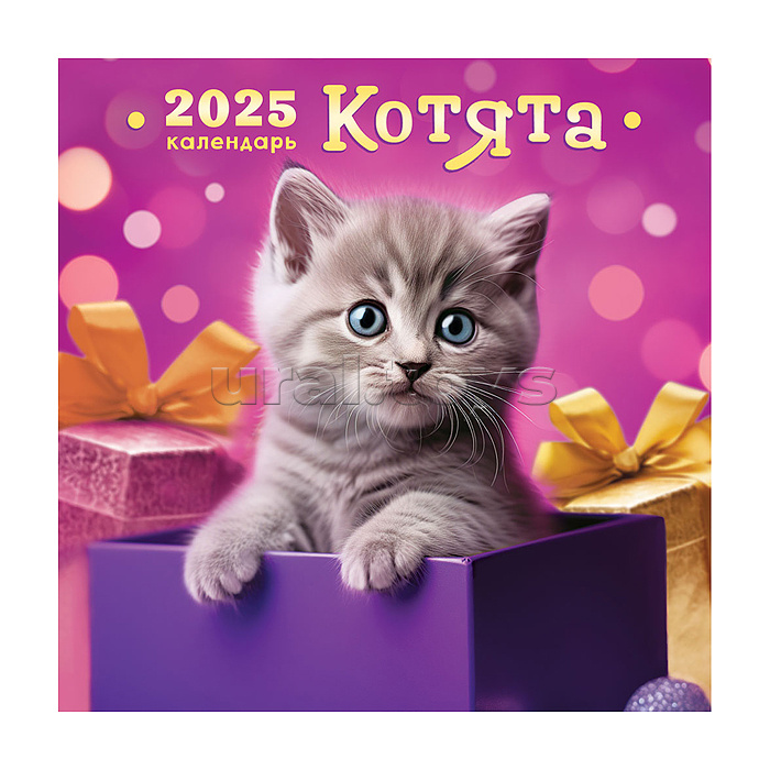 Календарь "Котята" 2025, скрепка