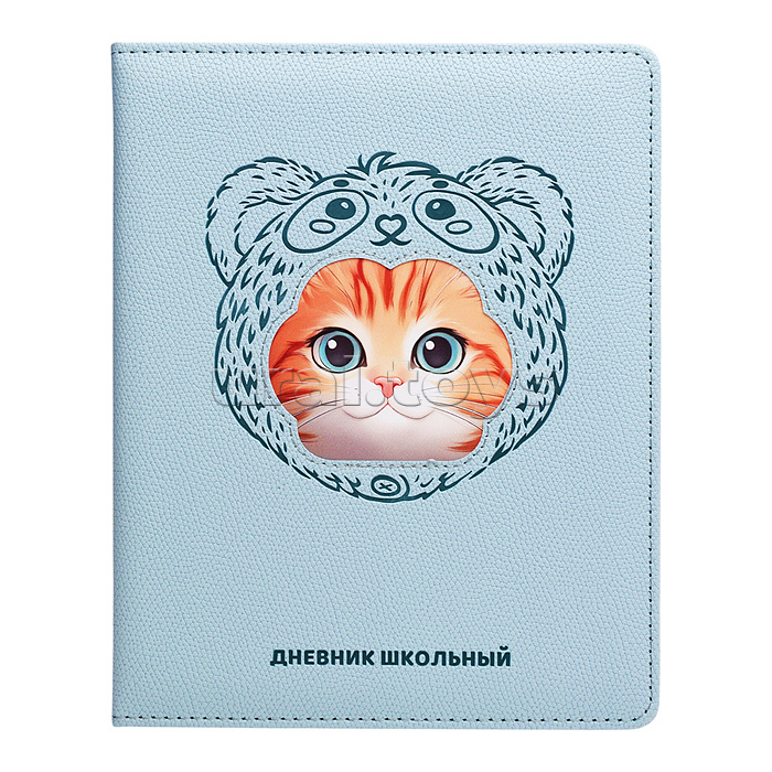 Дневник 1-11 кл. "Рыжий кот в шапочке" кожзам: А5+; твёрдый переплёт с поролоном