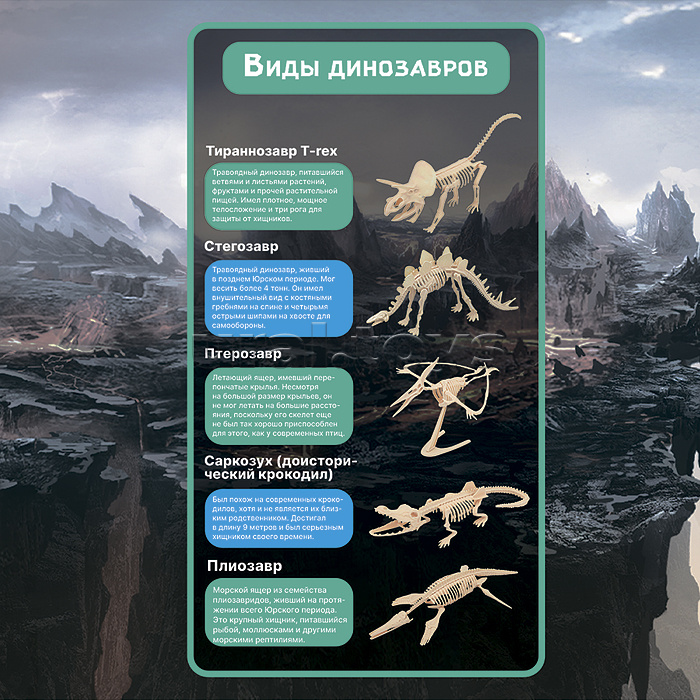 Раскопки "Археология динозавров" в коробке