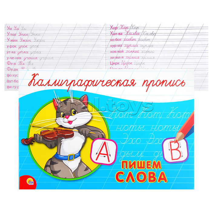 Каллиграфическая пропись А5. альбомная. Пишем слова