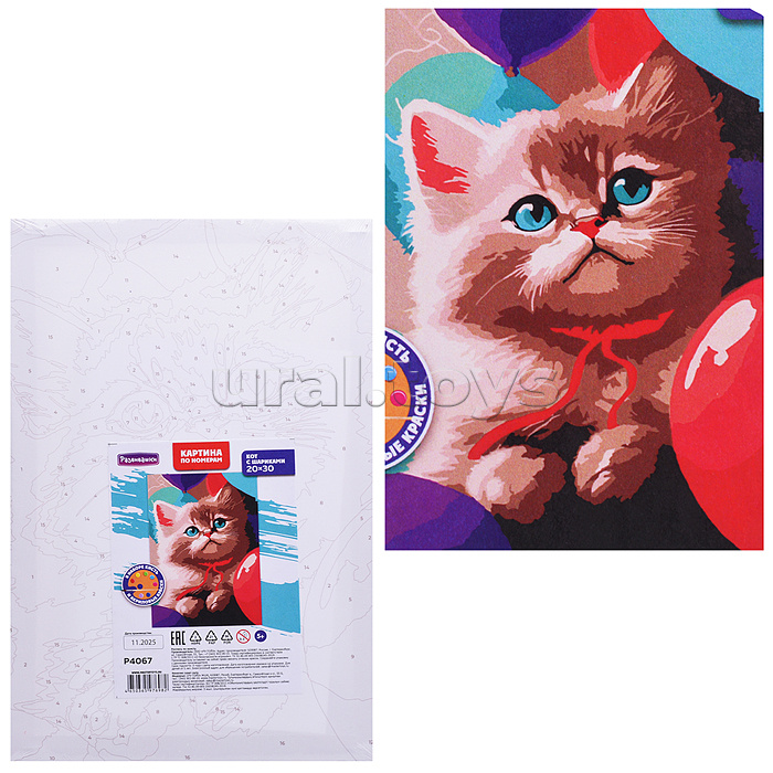 Картина по номерам "Кот с шариками" 20х30см