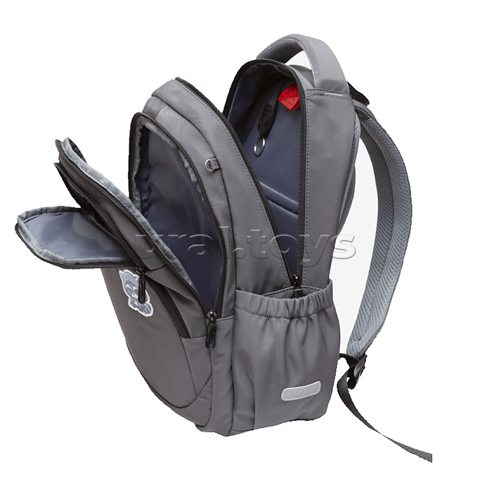 Рюкзак "Zoom. Cool Raccoon"  школьный 38x30x19 см (16 л) 550 г, плотный износостойкий полиэстер с водоотталкивающей пропиткой, 1 отделение на молнии с уплотненным отделением для ноутбука до 15 дюймов и книг, 2 передних отделения на молнии, 1 передний карм