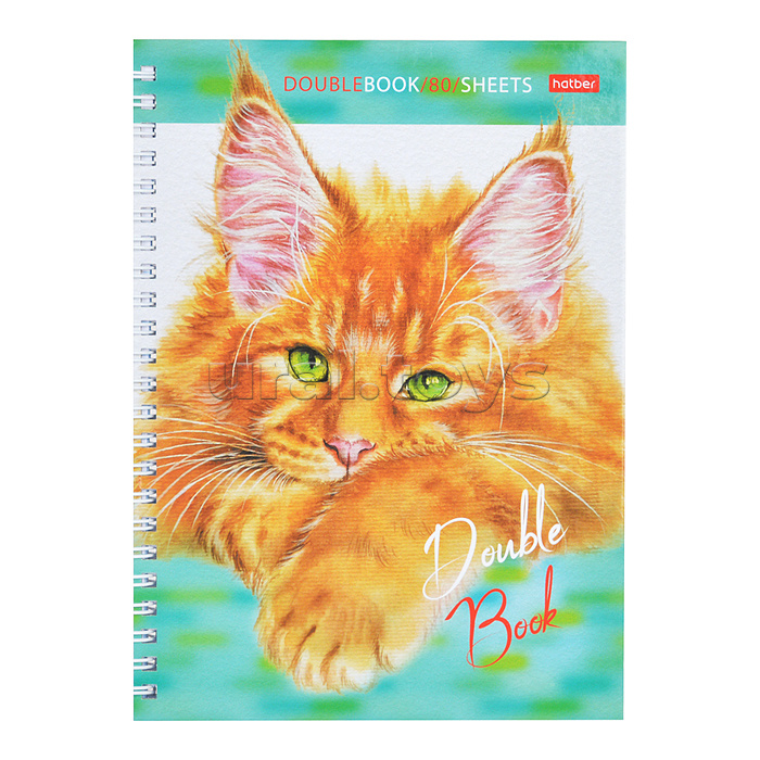 Тетрадь 80л. клетка "Эти заМУРчательные кошки" А5 на гребне