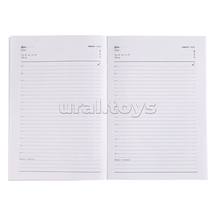 Ежедневник недатированный А5 80л. "Рептилия в золоте" 135x205 мм, твёрдый переплёт