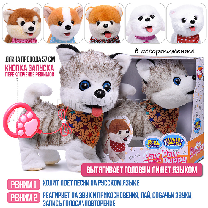 Собака "Боня" (может говорить, ходит, записывает) в коробке Собака "Боня" (может говорить, ходит, записывает) в коробке