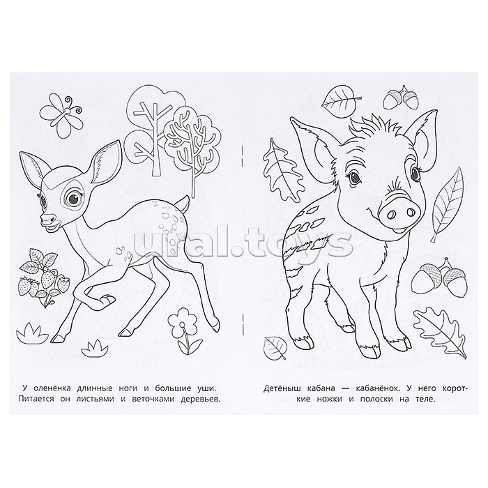 Лесные животные. Раскраска.