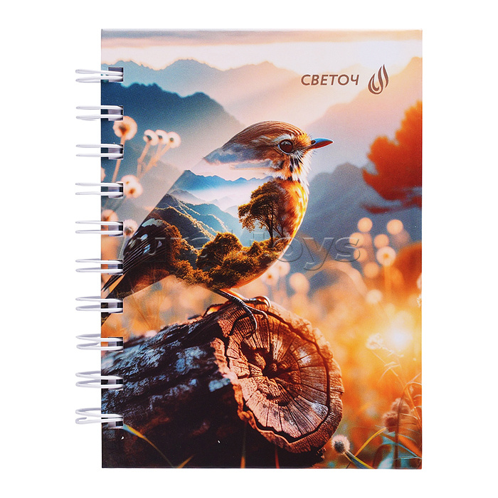 Записная книжка A6 120л. клетка "Сквозь просторы" с твердым переплетом, глянцевая ламинация, на гребне