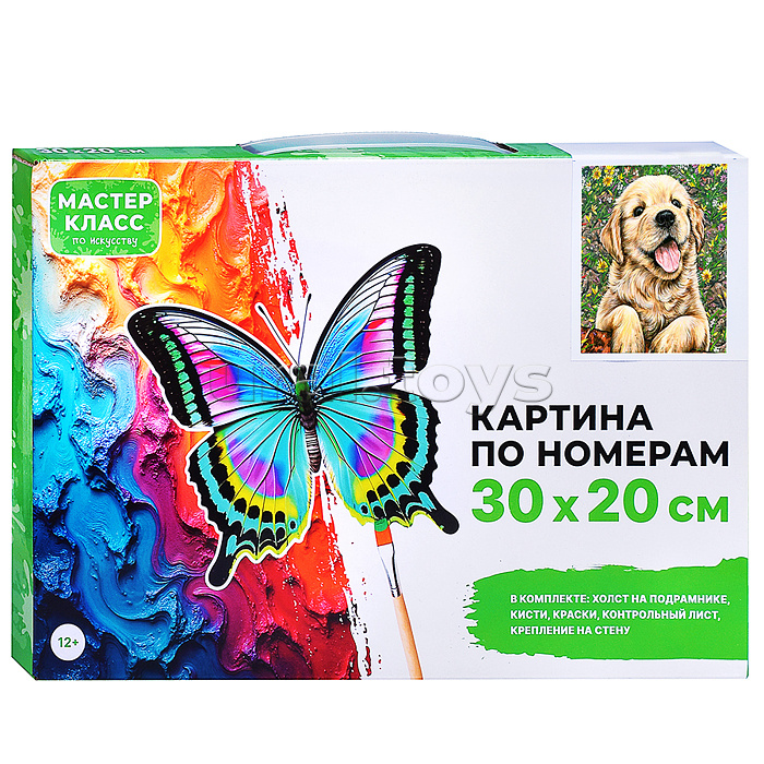 Набор для рисования "Картина по номерам 30х20 см.  Забавный щенок"