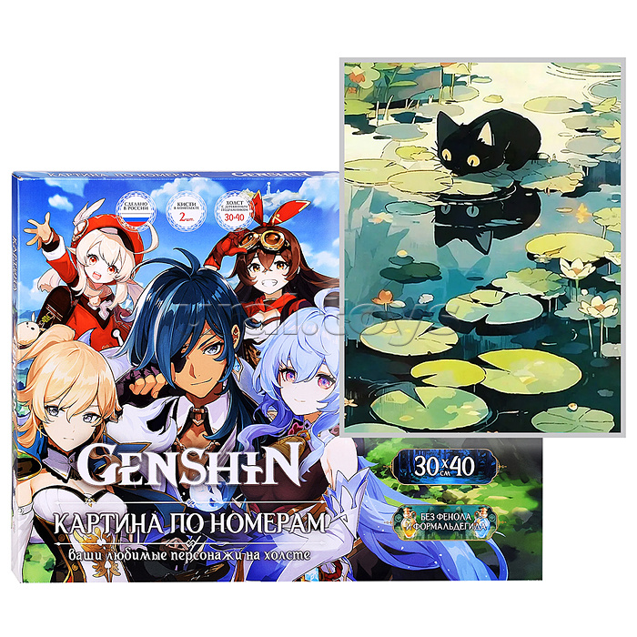 Картина по номерам 30х40 "Черный кот на отдыхе" 25 цветов