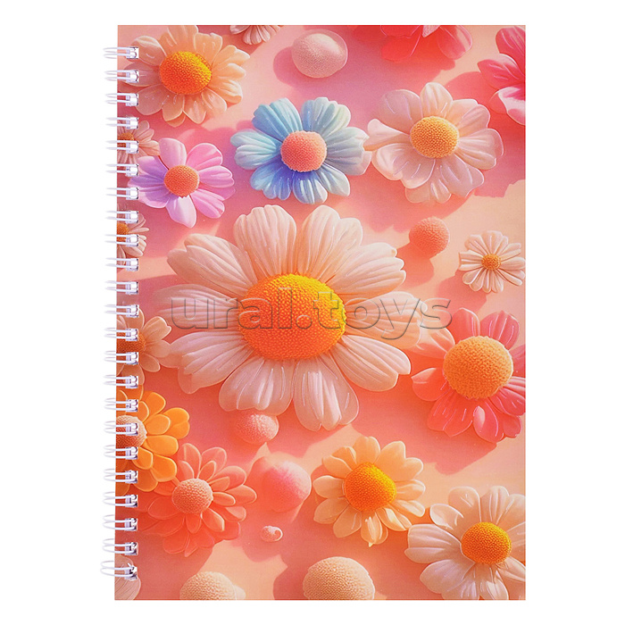 Блокнот на евроспирали 14.5x21 см, 60 л., внутренний блок в клетку, плотность бумаги 70г/м2, 4 дизайна в ассортименте, ОПП-упаковка