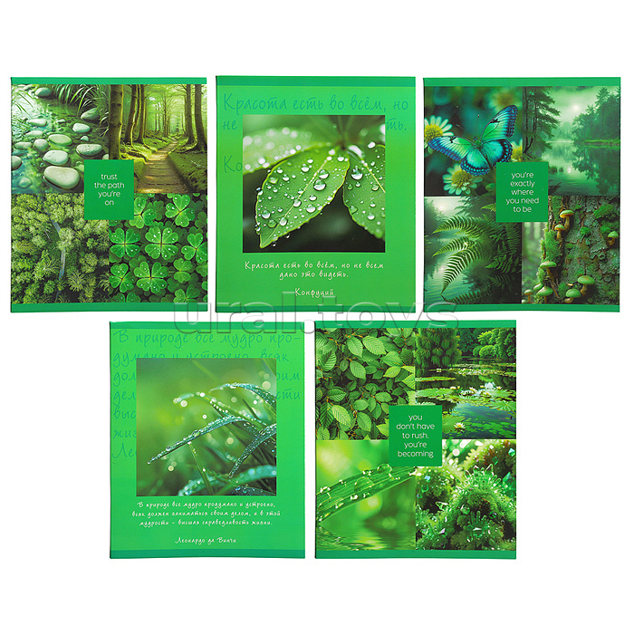 Тетрадь 48л. клетка "Природная красота" А5 скрепка