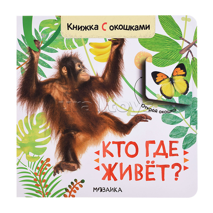 Книжка с окошками "Кто где живет?" Книжка с окошками "Кто где живет?"