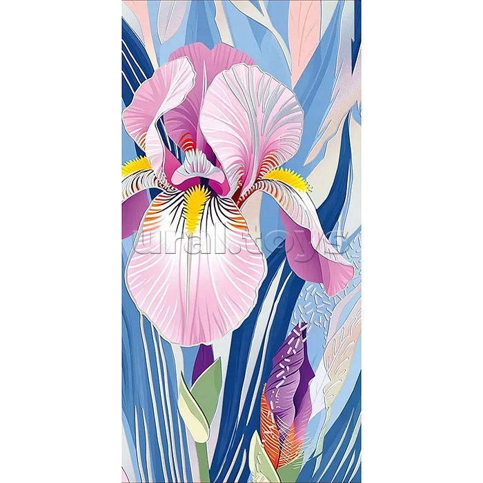 Конверт для денег без надписи