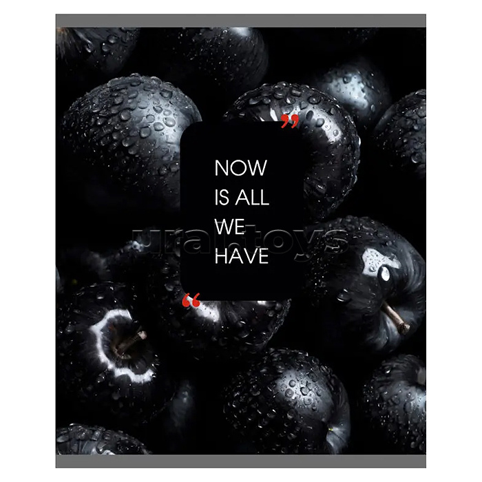 Тетрадь 48л. клетка "Natural Black" А5 скрепка