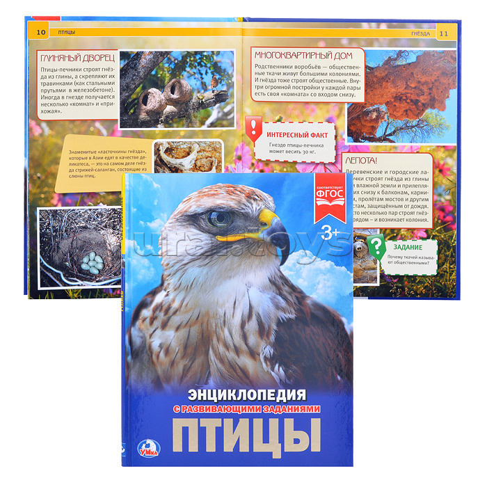 Птицы (энциклопедия А4) Птицы (энциклопедия А4)