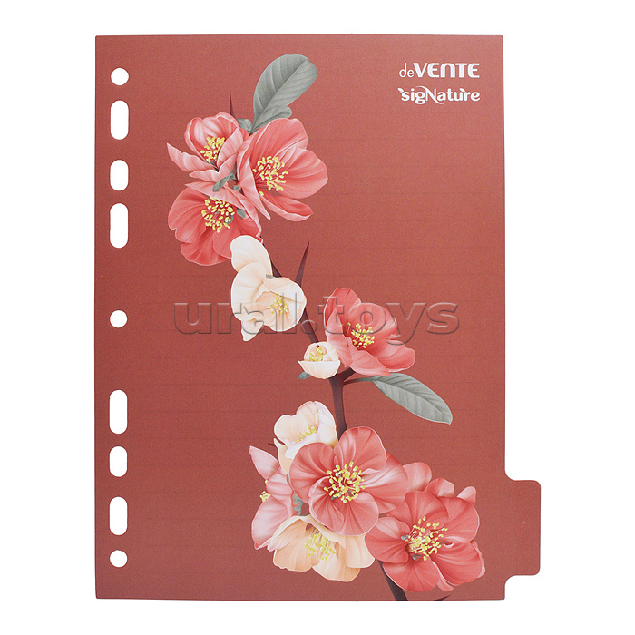 Разделитель листов "SigNature" A5 (160x210 мм) ламинированный мелованный картон 210 г/м2, с рисунком, 5 шт, индивидуальная упаковка