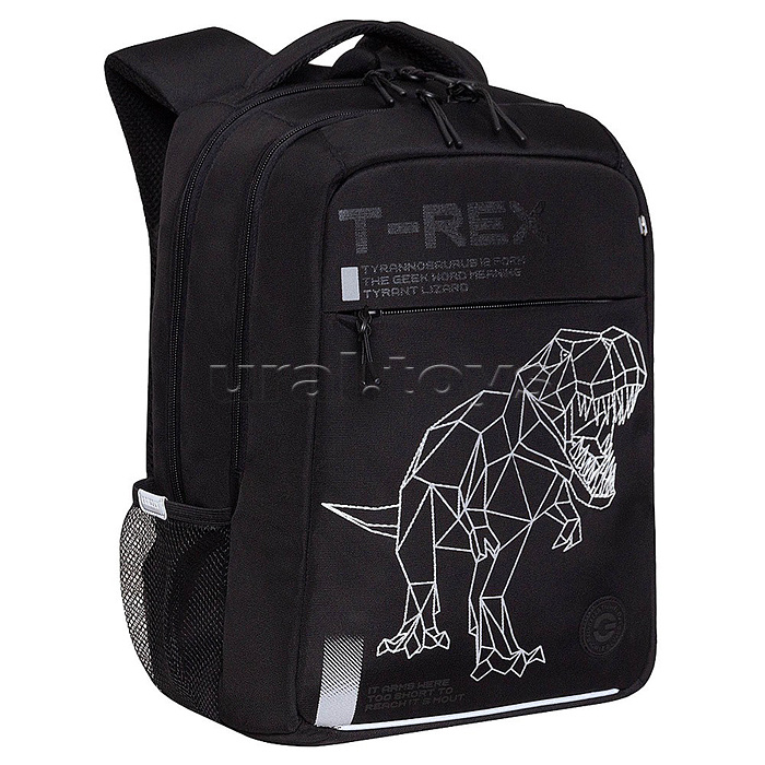 Рюкзак школьный (черный)