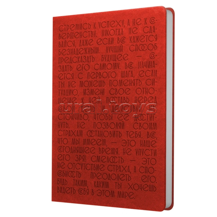 Книга для записей А5, 96л. "Стремись к успеху" иск.кожа (BASICS) Интеграл. термотиснение