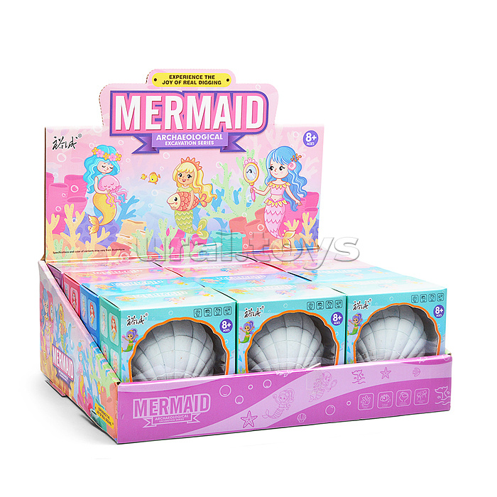 Раскопки "Ракушка" в коробке