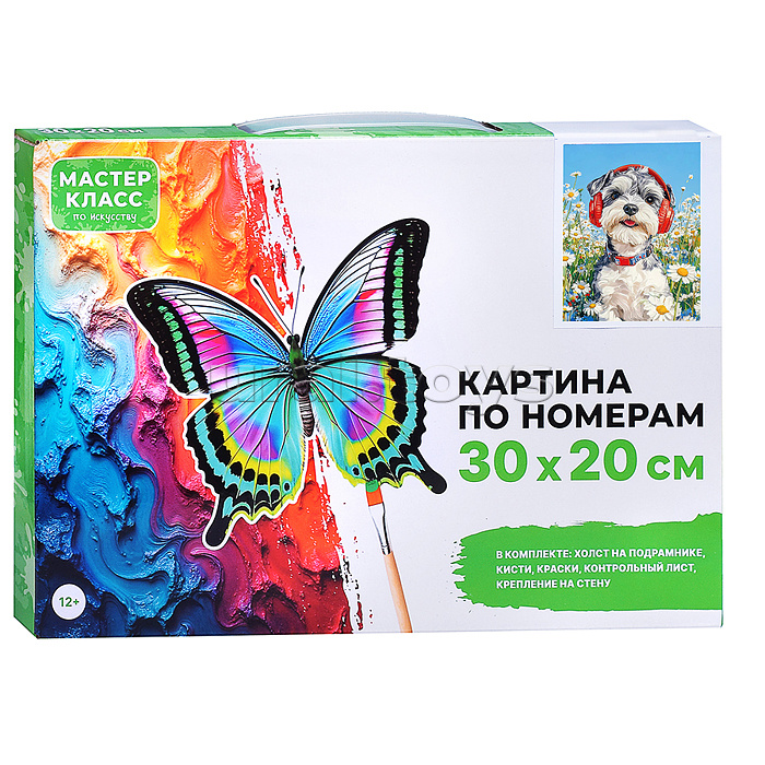 Картина по номерам "Щенок в наушниках" 30*20 см.