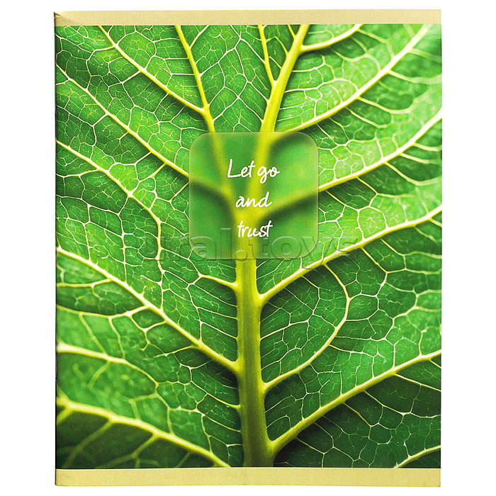 Тетрадь 80л. клетка "Wild & Free" А5 скрепка