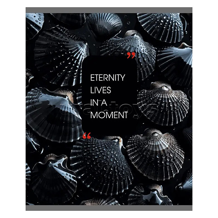 Тетрадь 48л. клетка "Natural Black" А5 скрепка