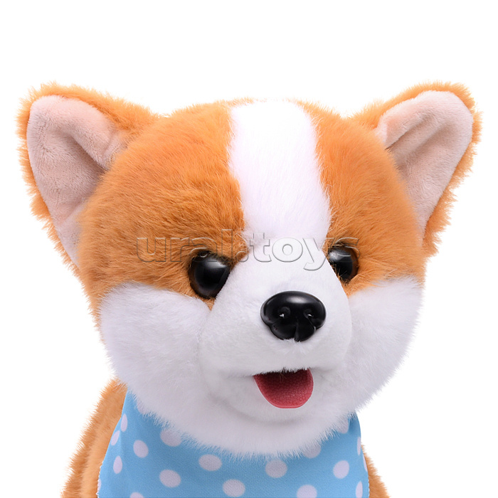 Собака "Боня" (может говорить, ходит, записывает)  в коробке