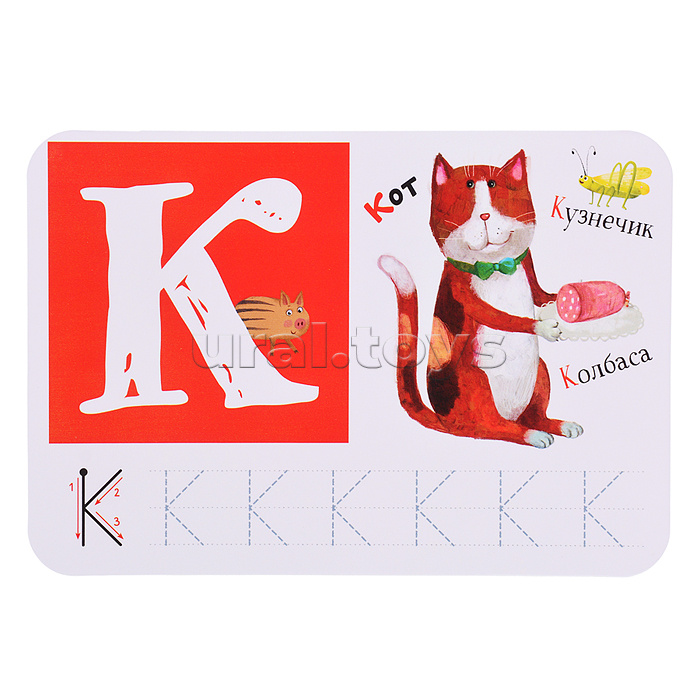 IQ Многоразовые карточки с маркером. 5+ Первая Азбука