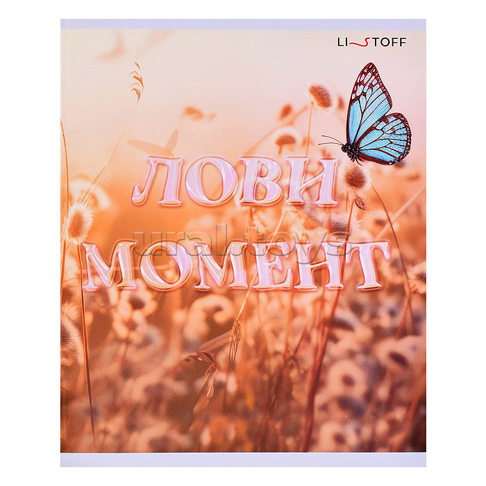 Тетрадь 40л. клетка "Лови момент!" скрепка А5 обл.: мел. картон, бум. оф.60 г/м2. поля, в уп. 5 видов