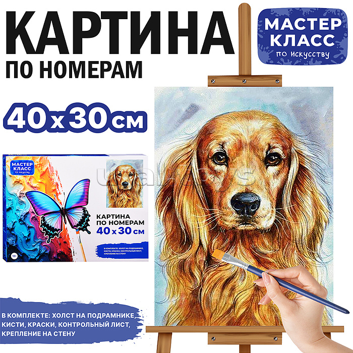 Набор для рисования "Картина по номерам 30х40 см. Спаниель" Набор для рисования "Картина по номерам 30х40 см. Спаниель"