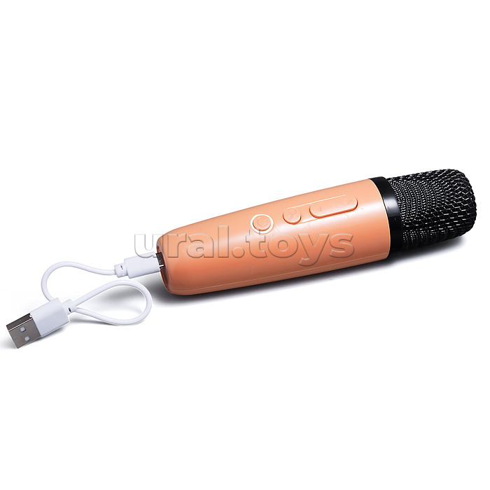 Караоке - центр игрушечный "Поем вместе" в коробке